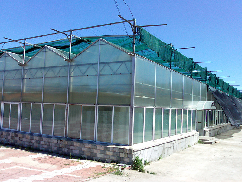 东方市智能温室植物工厂 - 哪里好