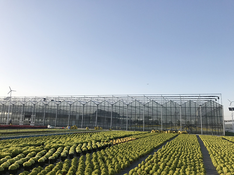 东方市智慧农业植物工厂 - 价格